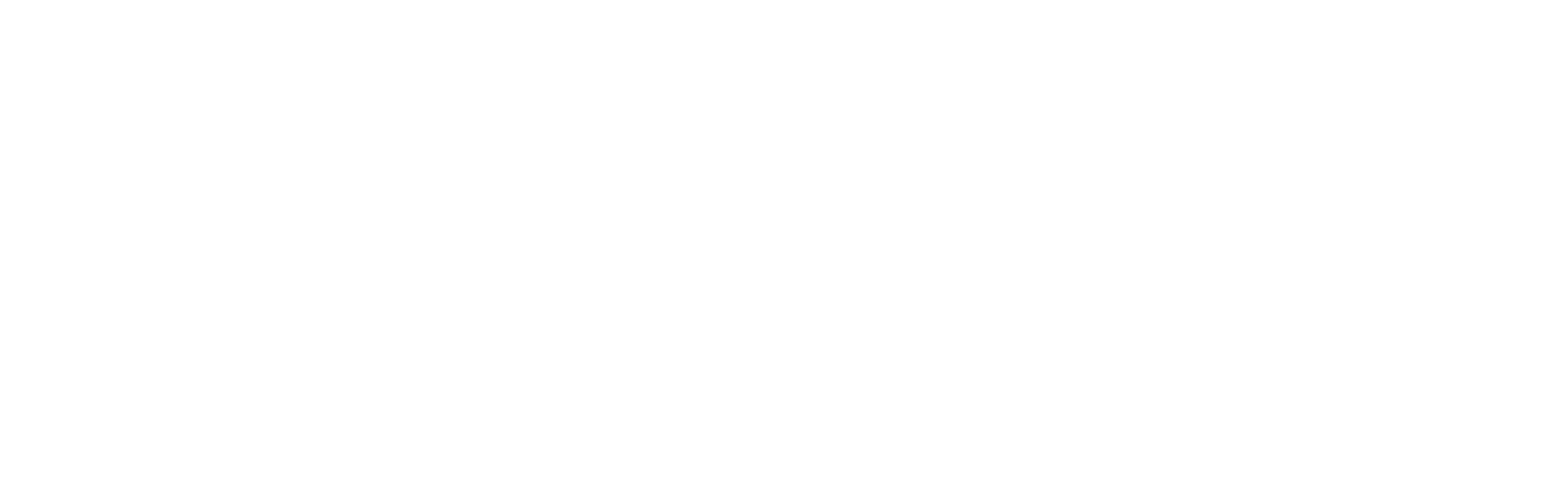 networksolutions Logo